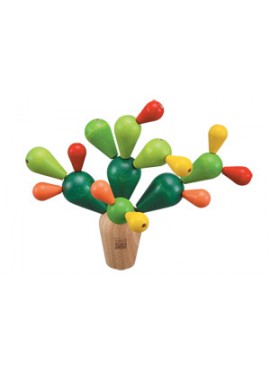 Dengeleme Kaktüsü (Balancing Cactus)